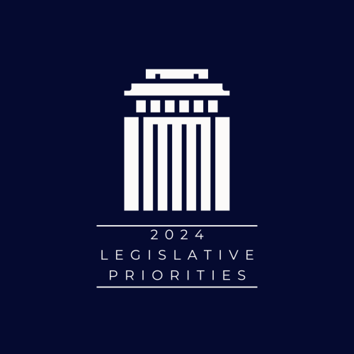 2024 Priority Icon